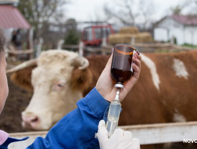 Common Misconceptions About Finaplix (Trenbolone Acetate)