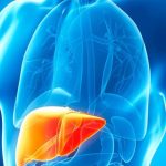 Why Oral Steroids Are Inherently More Hepatotoxic Than Injectables