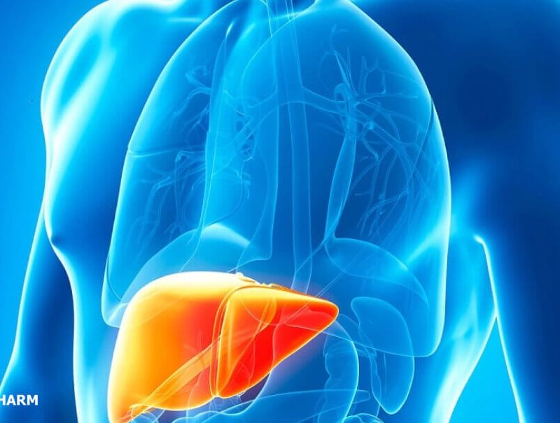 Why Oral Steroids Are Inherently More Hepatotoxic Than Injectables