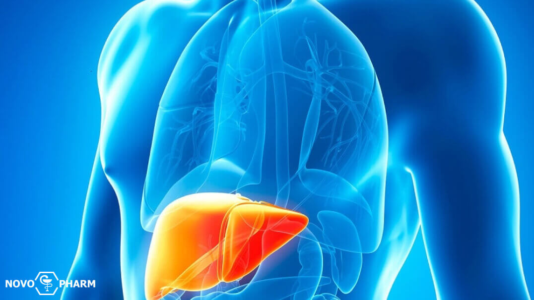 Why Oral Steroids Are Inherently More Hepatotoxic Than Injectables